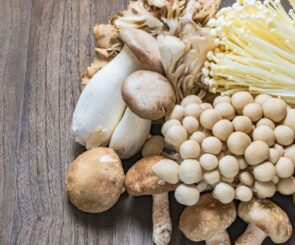Mushroom-based wellness treats